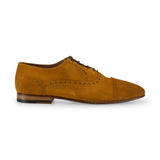 Suede Oxford Brogue 491