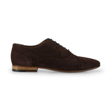 Suede Oxford Brogue 491