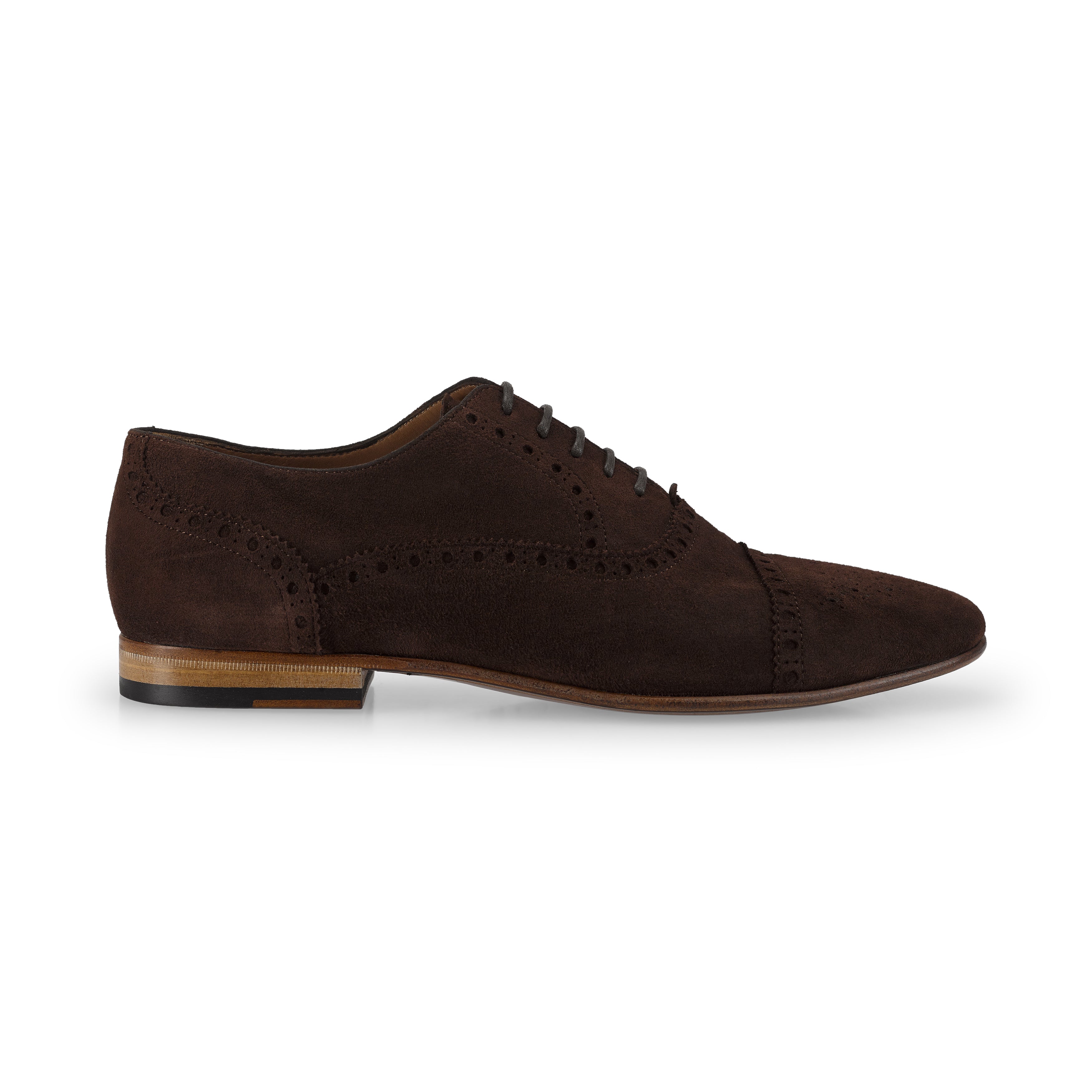 Suede Oxford Brogue 491